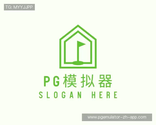 认识pg模拟器
